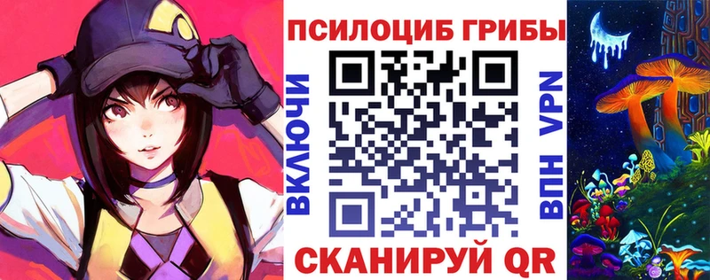 Галлюциногенные грибы Psilocybine cubensis  Купить  Ишим 